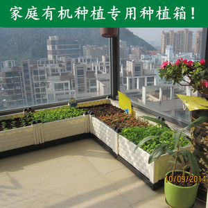 花箱塑料种植箱实花盆阳台可挂式长方形花槽多肉盆景阳台种菜设备