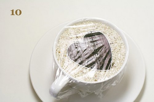 火龙果DIY盆景教程