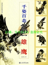 z千姿百态画雄鹰国画图书写意画禽鸟画法教程册图谱写意国画飞鸟