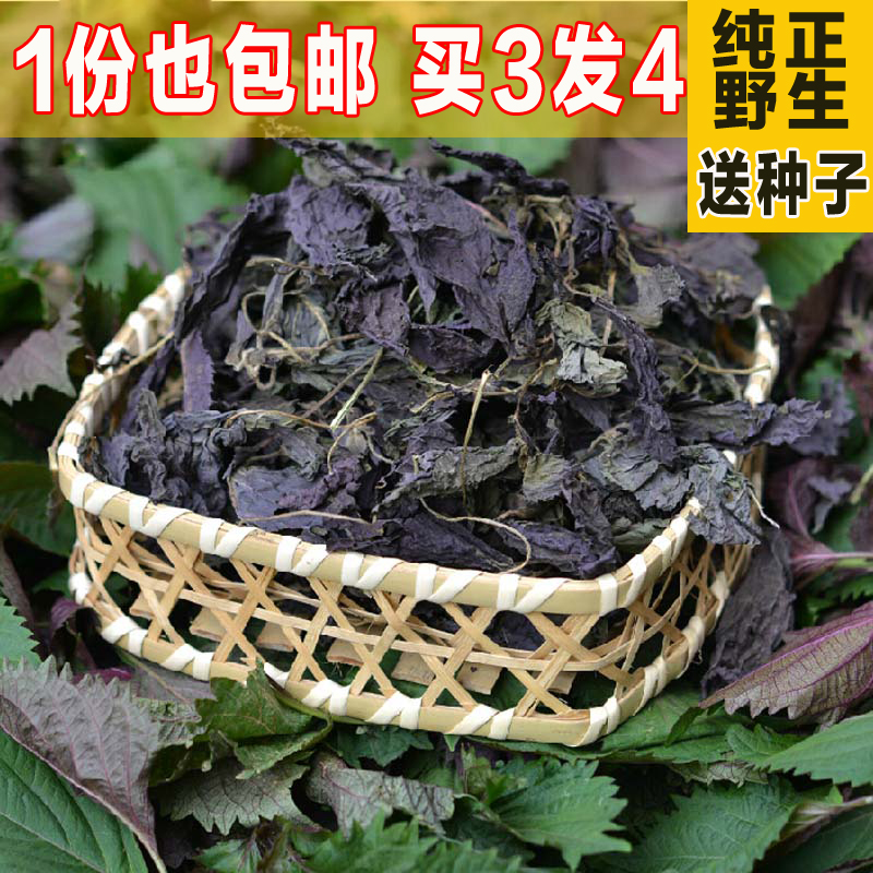 新晒野生紫苏叶 纯天然紫苏叶干 去腥烧鱼虾蟹泡茶解表散寒中药材