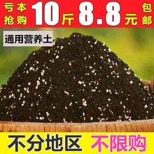 包邮 多肉植物配方营养土养花育苗肉肉通用土盆栽绿萝土多肉专用土