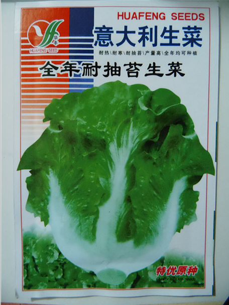 生菜种子 蔬菜种子批发 意大利耐抽抬 奶油生菜 生吃超嫩 减肥生