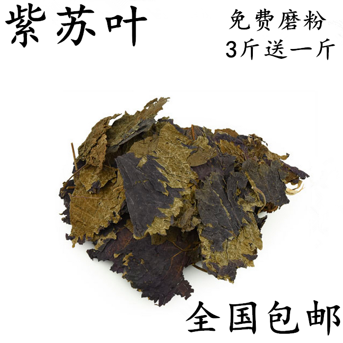 紫苏叶 新货紫苏叶农家自产干紫苏叶去腥香料可磨粉500g包邮