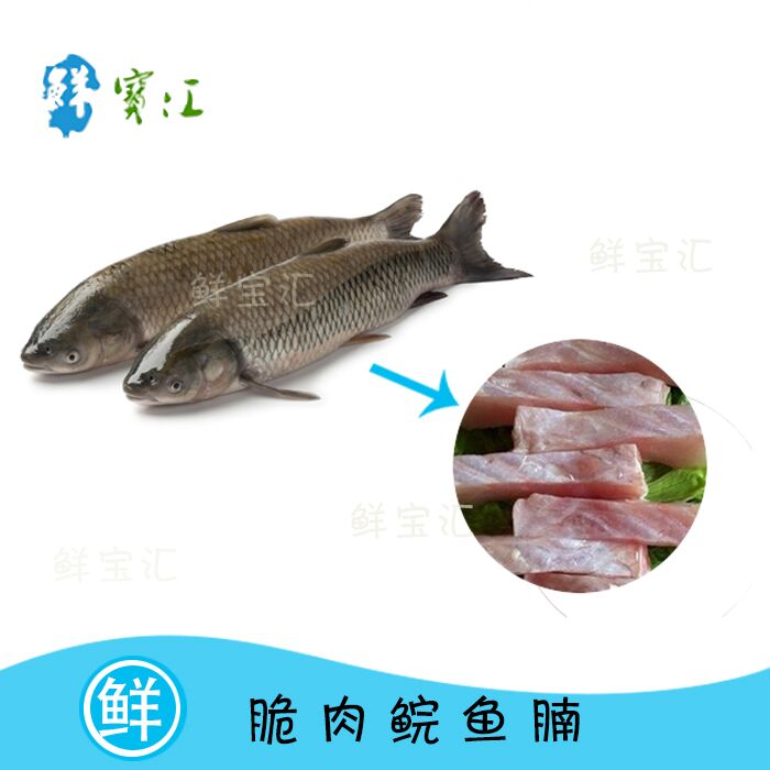 鲜宝汇 中山脆肉皖 脆鲩鱼 香脆鱼腩 新鲜皖鱼 火锅食材500g