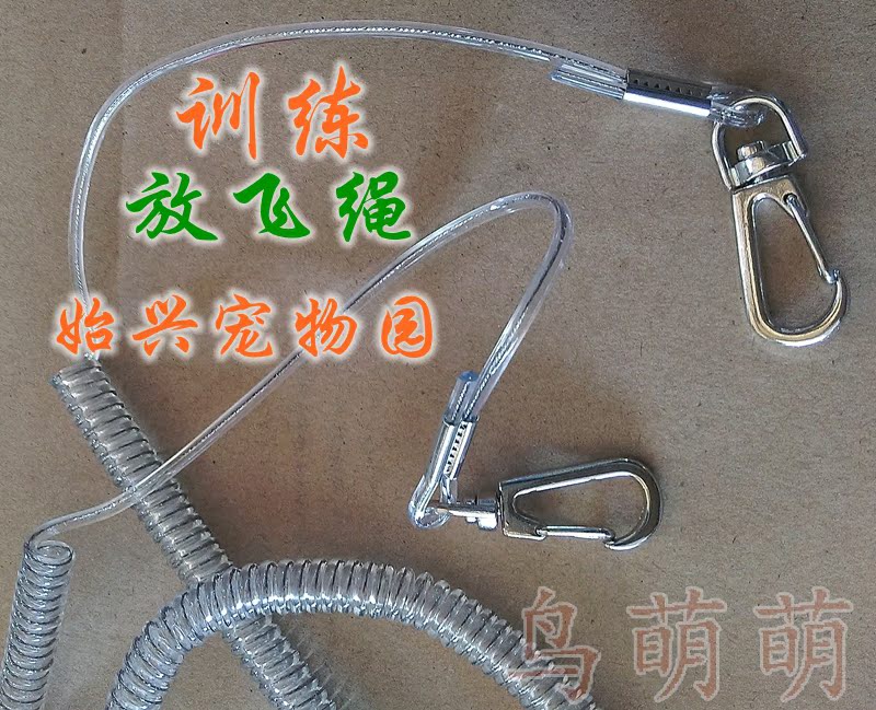 放飞绳/失手绳/鹦鹉外出放飞绳鹦鹉脚链训练绳溜鸟绳脚链内置钢丝