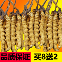 3条1克正品 那曲冬虫夏草顺丰 野生虫草正宗西藏礼盒装 十年老店