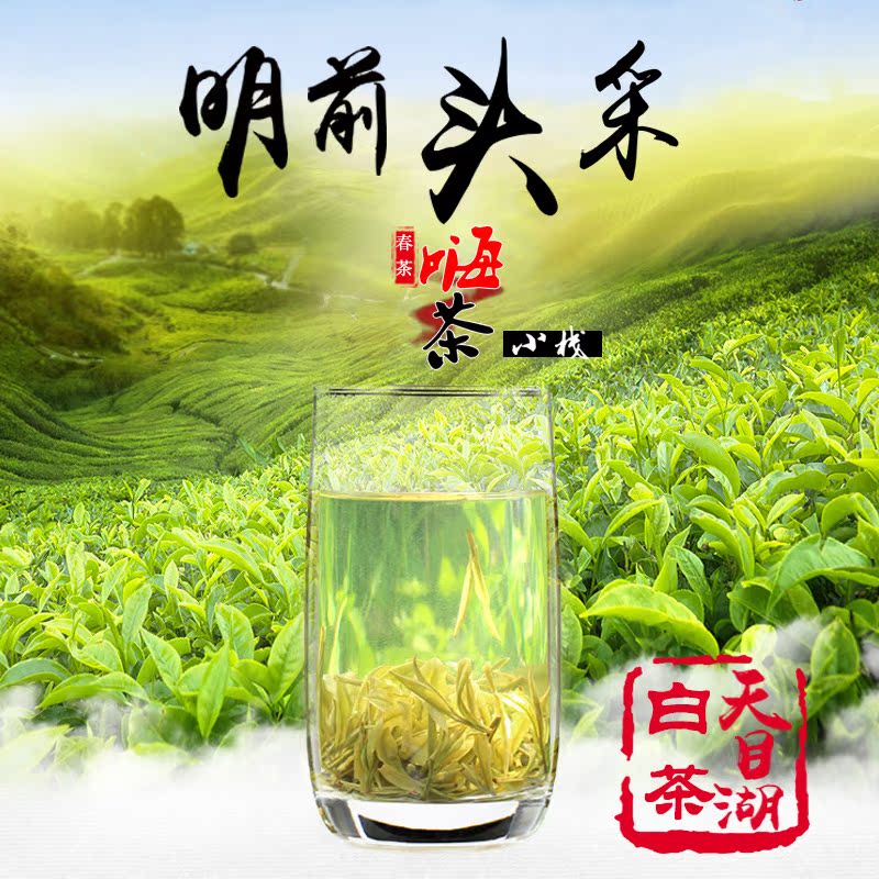 2016新茶春茶明前头采特级精品溧阳天目湖白茶 茶叶50g瓷罐装包邮