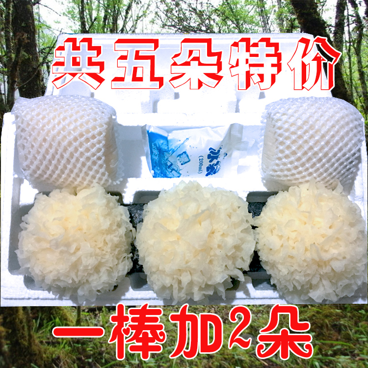 【共5朵】活耳新鲜银耳白木耳高山雪耳包糯鲜银耳买一棒送2朵