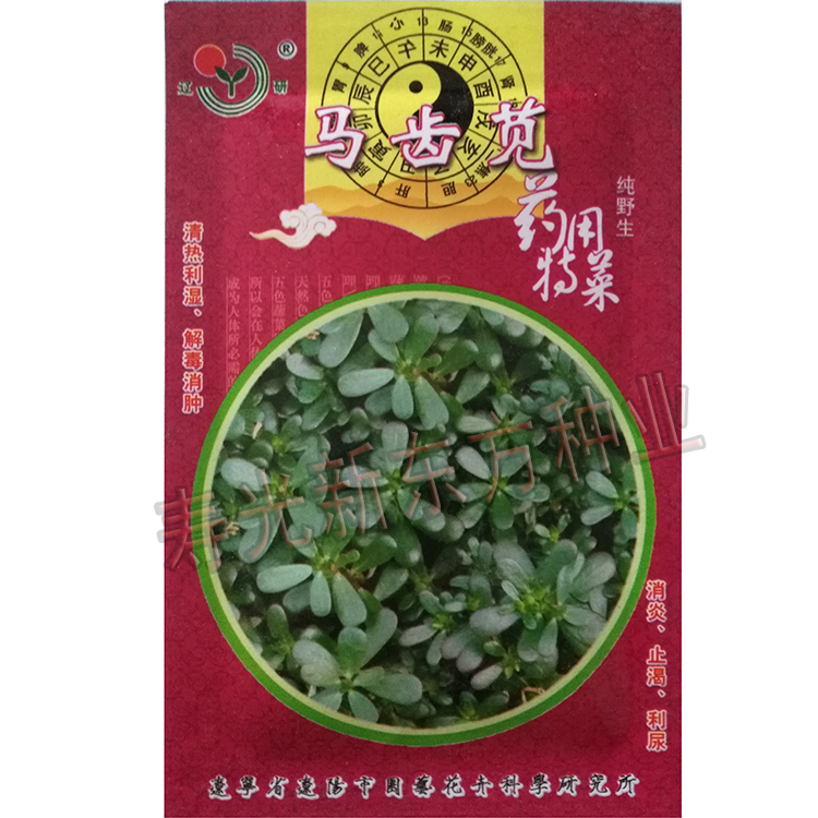 蔬菜种子野菜种子马齿苋种子五行草马齿菜蚂蚱菜荠菜种子大叶荠菜