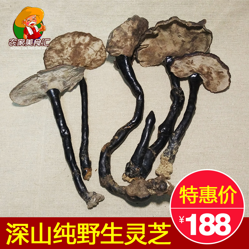 深山采摘灵芝 野生整枝黑林芝正品特级纯天然紫灵芝片250g