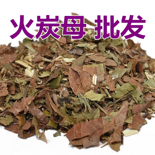 中药材救必应 野生薄皮白木香山冬青批发胃疼正品同仁