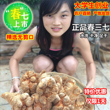 包邮 云南文山春三七30头20头40滑头60田七500g无剪口送花茶正品