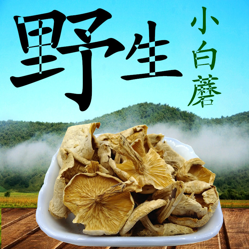 内蒙古草原小白蘑菇阿尔山白狼天原林业白平菇蒙野白蘑菇350g干货