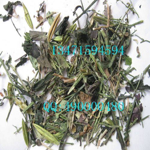 正品 穿心莲叶子/苦胆草/四方莲/金香草/苦草 500克