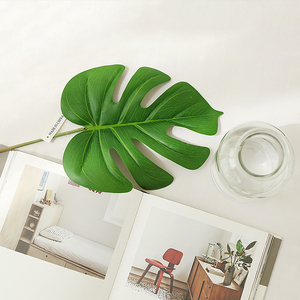 一片绿叶ins风仿真龟背竹叶