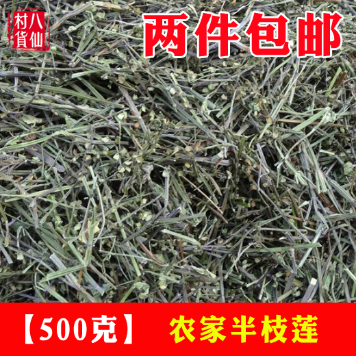 农村自采半支莲 挖耳草 通经草500g 可以配白花蛇舌草 2件包邮