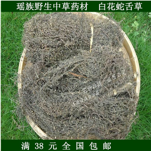 野生中草药材 白花蛇舌草 另有半枝莲出售养生保健 新货500g包邮
