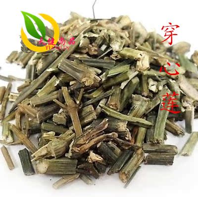 穿心莲 中药材 斩蛇剑 川心莲 苦胆草 穿心莲粉50克抓药磨粉