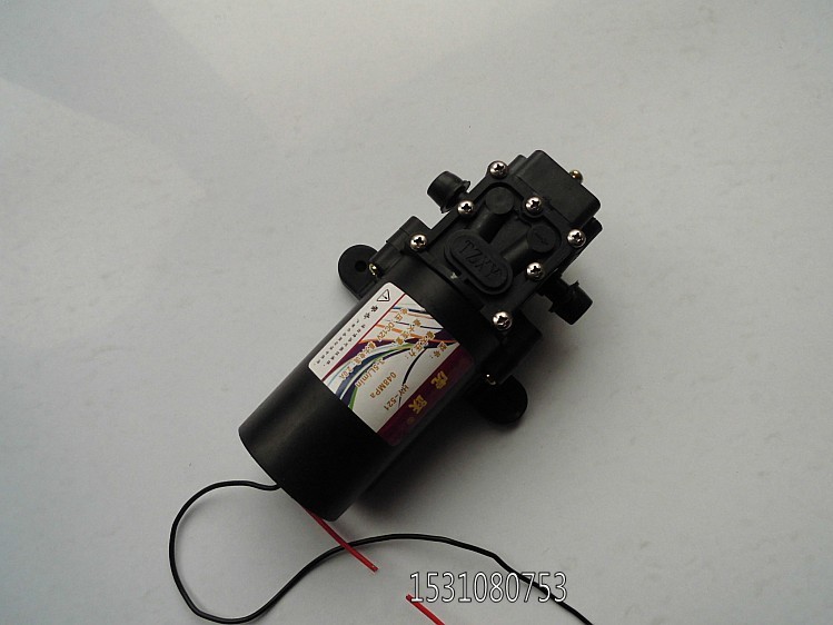 隔膜微型小泵农用电动喷雾器水泵12v自吸泵高压洗车泵