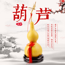50厘米 辟邪镇宅大葫芦摆件 免邮 风水葫芦挂件10 天然特大葫芦