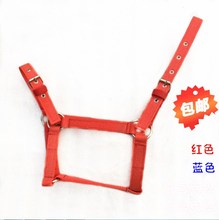 精骑马鞍子马具马笼头马鞍配件厂家直销大马小马矮马龙头马术用品