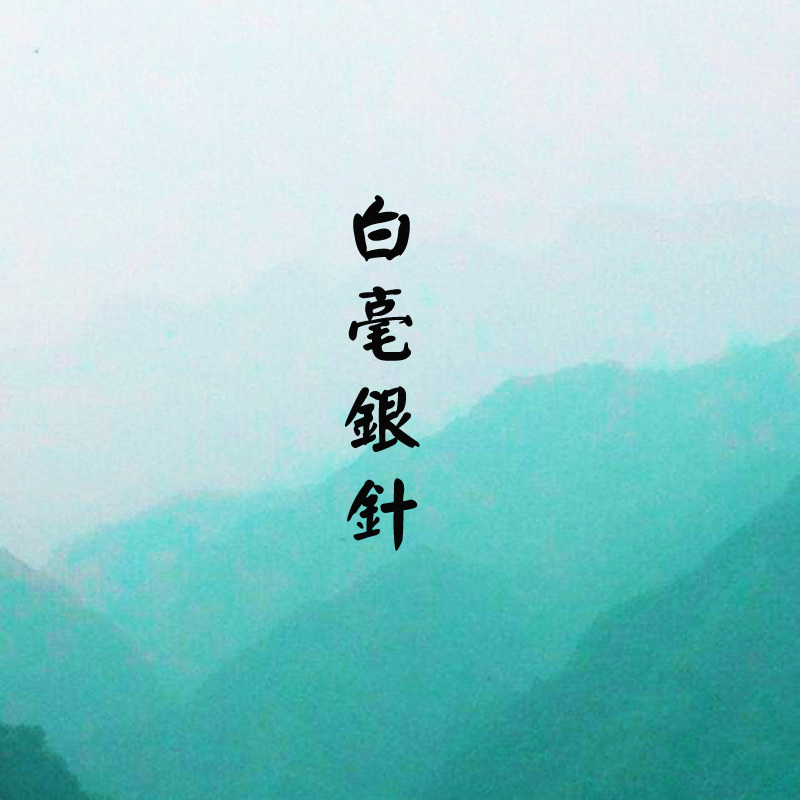 白毫银针 福鼎白茶 16年明前特级头採野生白茶 陈放价值高 100g