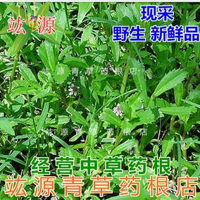 青草药根 正乌山 野生乌多年根 小红蛇根 铁牛入石 核果根 青筋藤