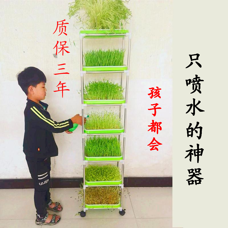 幼儿园植物角盆栽装饰自然角幼儿园水培花盆绿植盆栽创意小盆栽