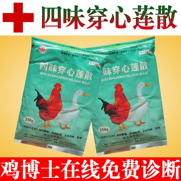 鸡药 穿心莲末 抗菌消炎 清热解毒 湿热下痢 咽喉肿痛