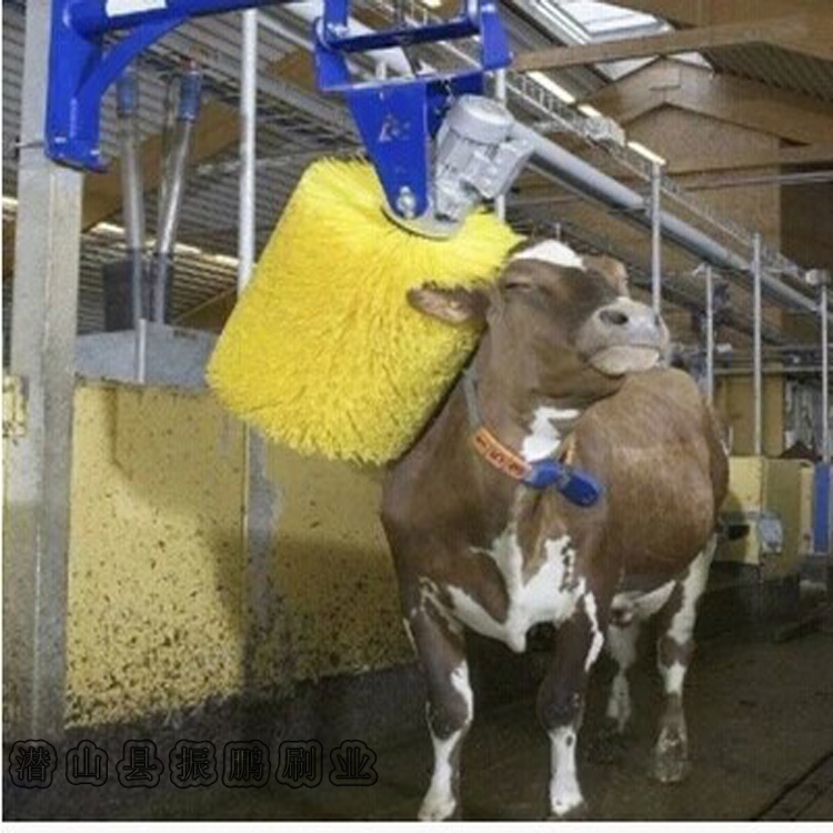 正品[挠痒按摩]隔靴挠痒评测 美女双手绑着被挠