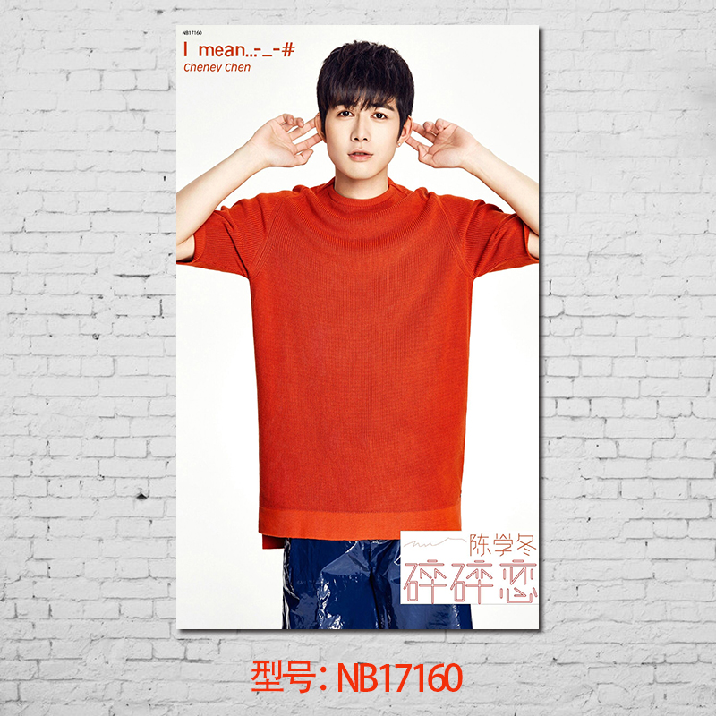 夏至未至白敬亭陈学冬照片写真海报周边墙贴贴