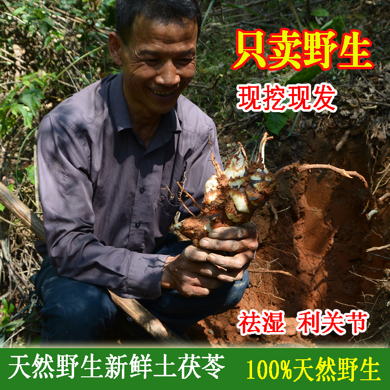 现挖100%野生新鲜土茯苓 中药材土茯苓清热祛湿利关节 汤料500克