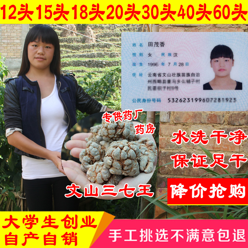 云南文山本色水洗干净有机春三七20头30头40头60头 田七包邮
