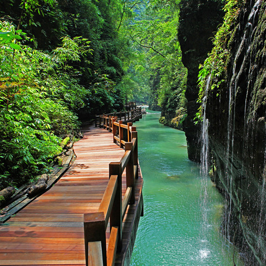 飞猪专线重庆万盛黑山谷一日游周边游跟团游旅行社纯玩团重庆旅游