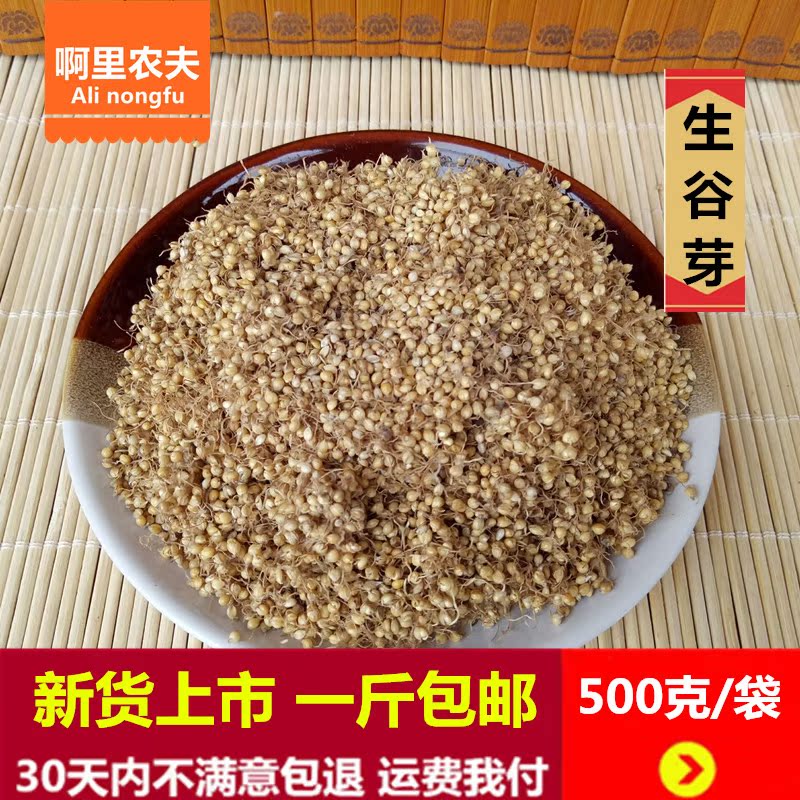 谷芽中药材农家新货生谷芽 生晒谷子麦芽茶稻芽无添加500克包邮