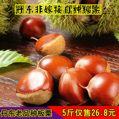 丹东特产生板栗17年东北板栗5斤装非油栗子毛栗子新鲜板栗水果