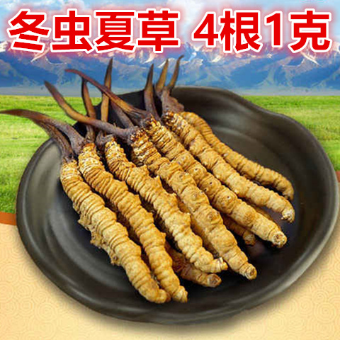 正宗那曲特级野生冬虫夏草正品西藏那曲虫草礼盒礼品无断草4条1克