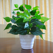 饰塑料盆栽假绿萝小盆栽仿真花草植物 仿真植物假植物绿植室内外装