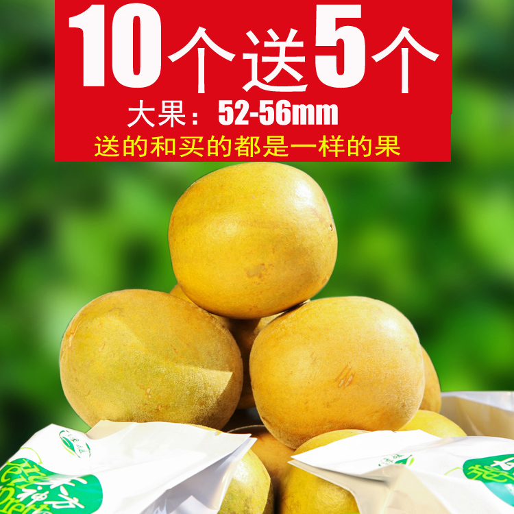 【大促赠5个】桂林永福低温脱水罗汉果包邮罗汉果茶10个大果