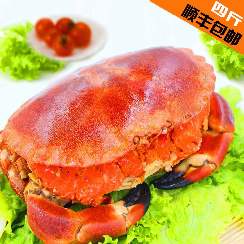 天天特价面包蟹螃蟹2只 鲜活熟冻黄金蟹大螃蟹香辣蟹海鲜珍宝蟹