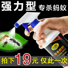 灭蚂蚁药全窝端家用无毒室内除防杀红蚂蚁喷雾杀虫剂强力灭蚁清驱