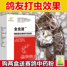 鸽子药搏冠全虫清鸽药毛滴虫球虫体内外虫清理信赛鸽驱虫打虫用品