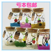 水培植物 摆件 微景观瓶生态瓶 包邮 球藻 日本幸福海藻球marimo