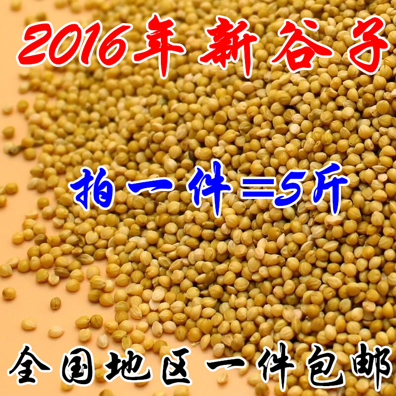 带壳小米/虎皮牡丹玄凤/文鸟/鹦鹉鸟食黄谷子/鸟粮鸟饲料1件包邮