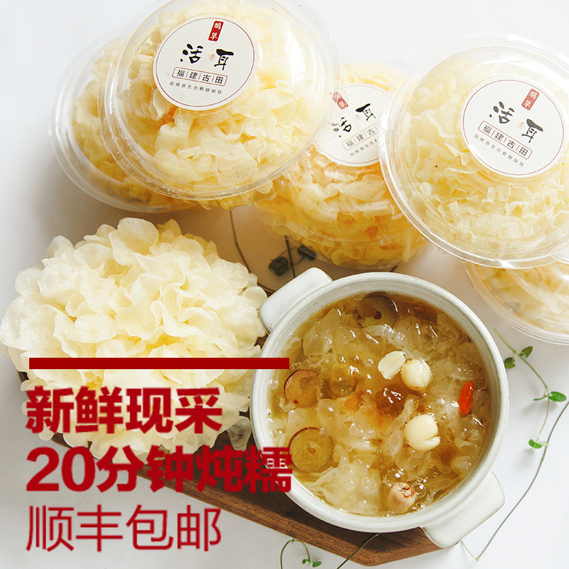 【5朵装】新鲜银耳碗装活耳雪耳白木耳古田银耳直发 顺丰空运