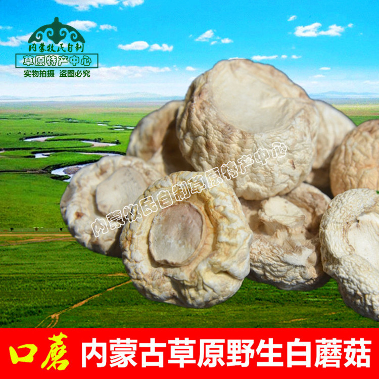 野生口蘑 张家口坝上特产干货内蒙古锡林郭勒草原野生白蘑菇200g