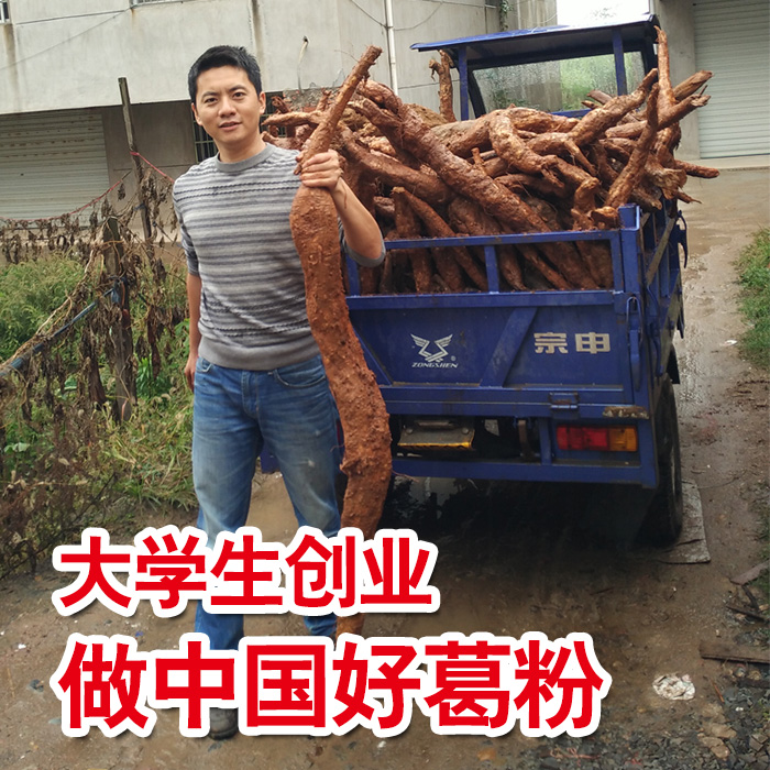 【天天特价】野生葛根粉江西农家老柴葛纯天然送葛片葛花茶500g