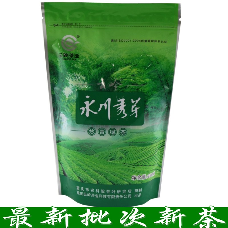 云岭永川秀芽2016新茶明前春茶云岭茶业250g特级炒青绿茶2袋包邮