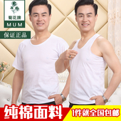 宽松吸汗背心圆领短袖 中老年纯棉汗衫 爸爸装 夏季男士 菊花牌老头衫
