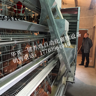 华兴厂家直销投料机鸡舍自动喂料机龙门投料机,鸡场自动投料机
